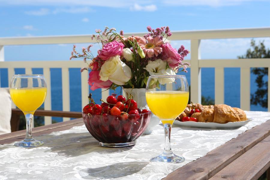 Apartments Villa Lucy Cavtat Zewnętrze zdjęcie